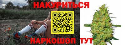 a pvp Можга