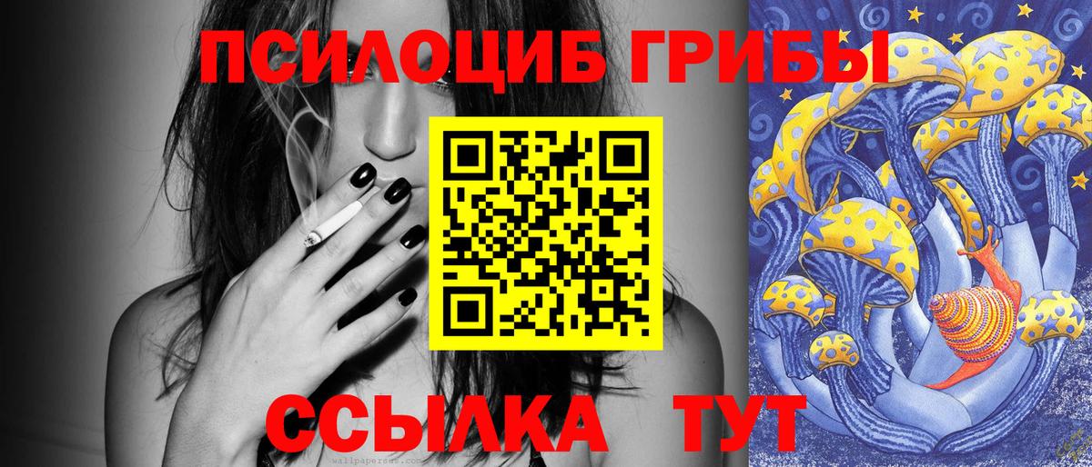 Галлюциногенные грибы Cubensis  Вход с VPN  Псилоцибиновые грибы Psilocybine cubensis  Брянск 