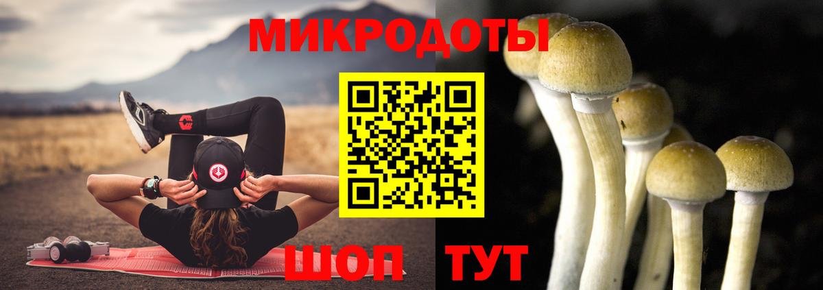 Псилоцибиновые грибы ЛСД Брянск